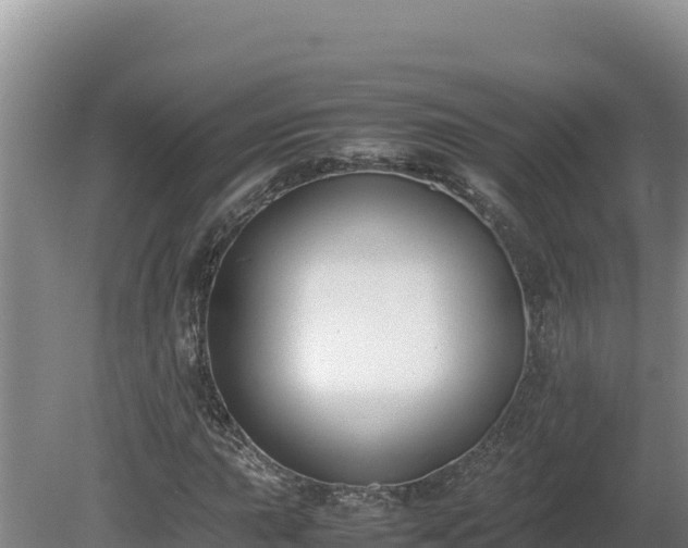 X0000080751015200612221339