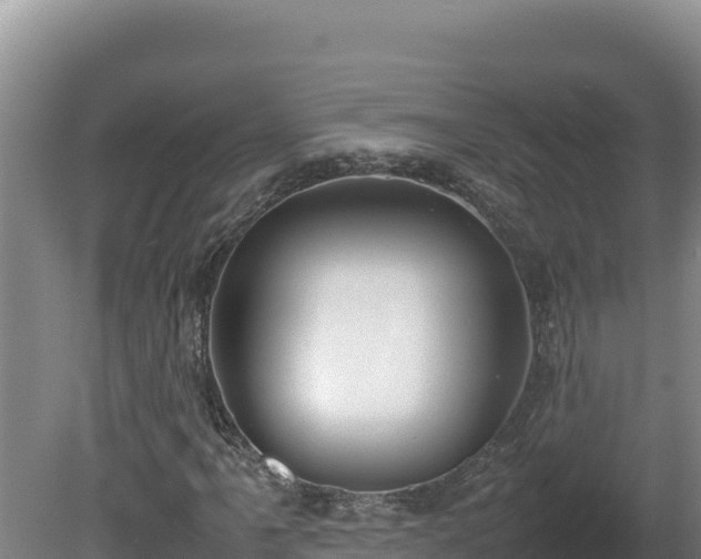 X0000080751061200612221339
