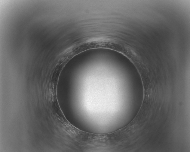 X0000080751062200612221339