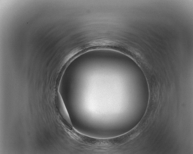 X0000080751073200612221339