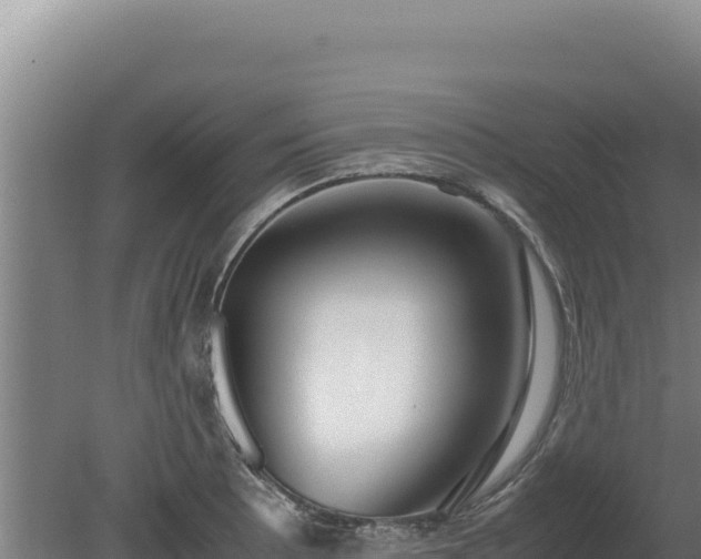 X0000080751089200612221338
