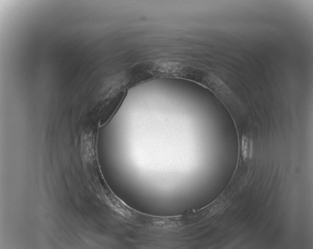 X0000080751107200612221337