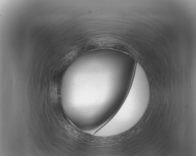 X0000080751108200612221337