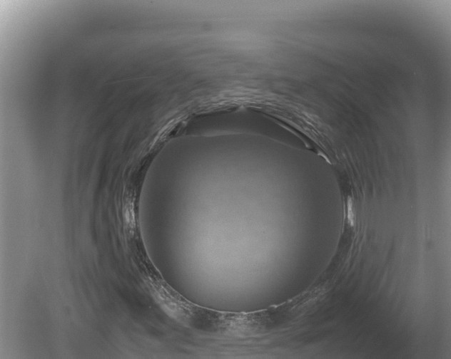 X0000080751155200612221337