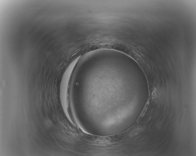 X0000080751156200612221337