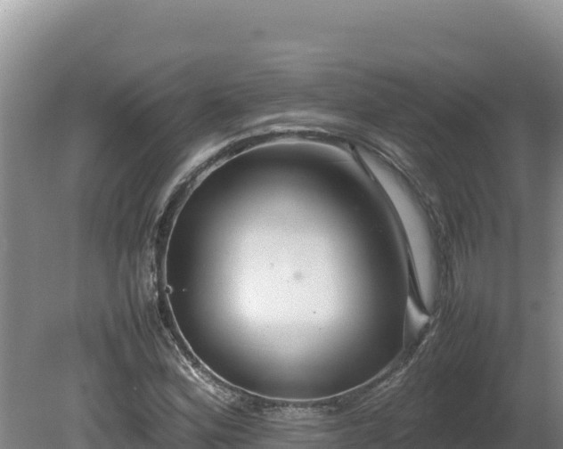 X0000080751164200612221337