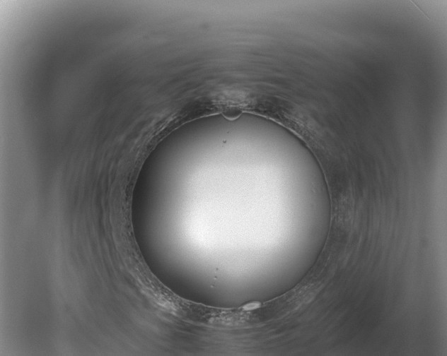 X0000080751201200612221336