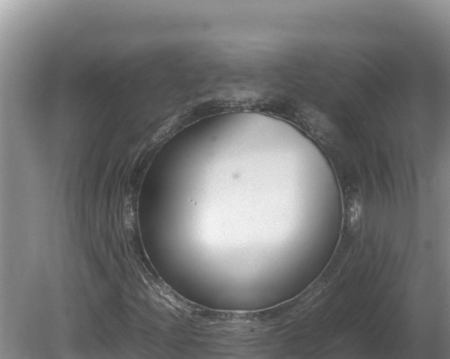 X0000080751204200612221336