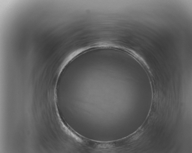 X0000080751239200612221336