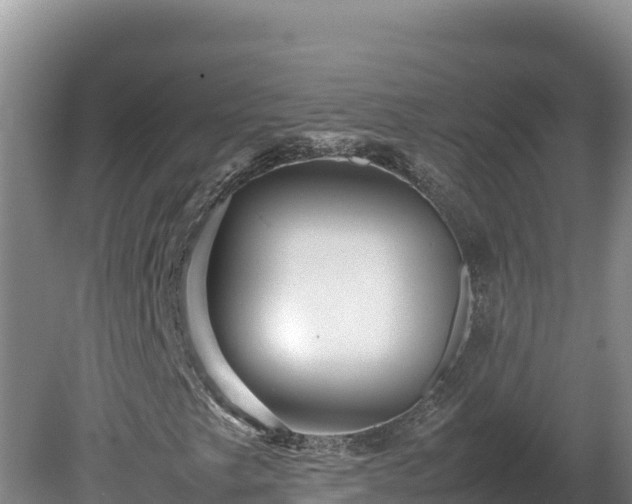X0000080751249200612221336