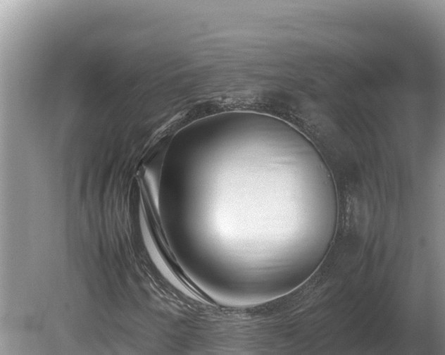 X0000080751250200612221336