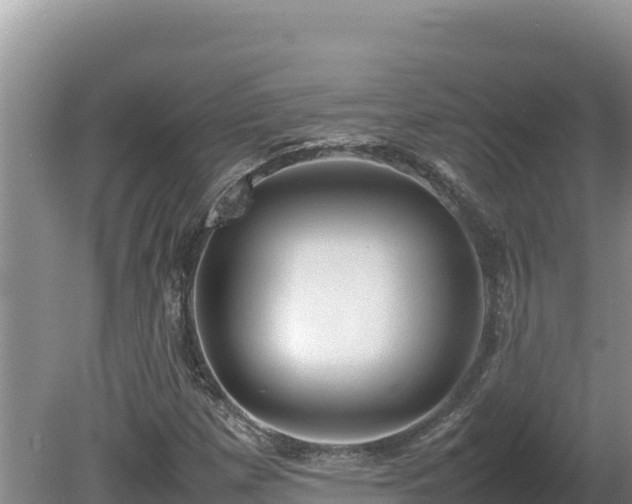 X0000080751257200612221335
