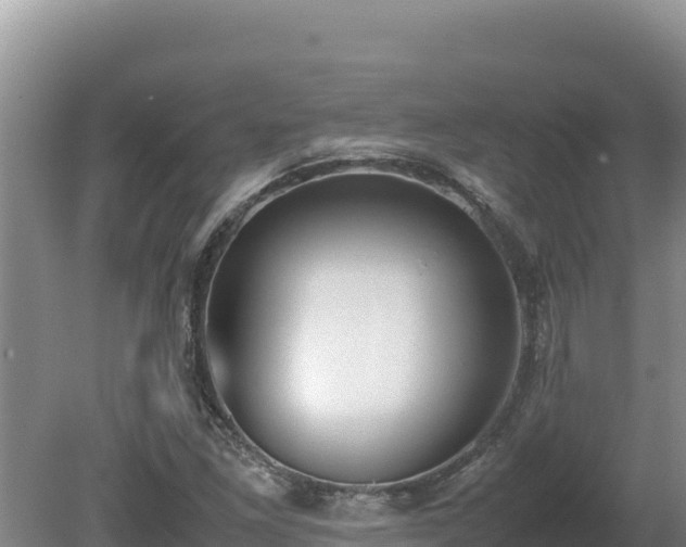 X0000080751261200612221335