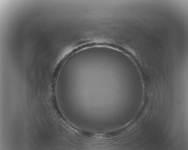 X0000080751263200612221335