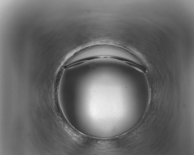 X0000080751264200612221335