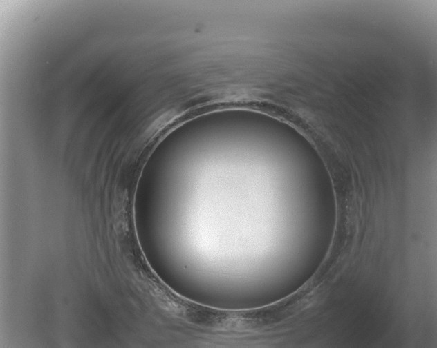 X0000080751265200612221335