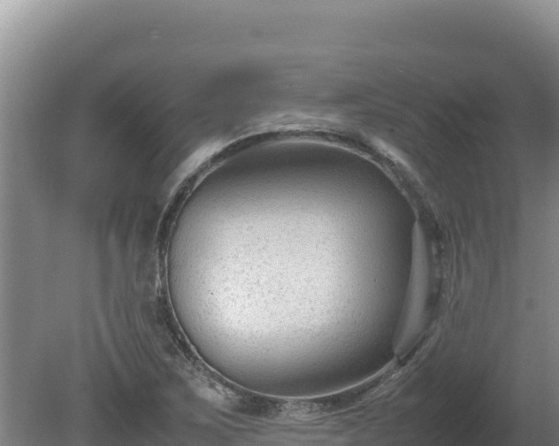 X0000080751267200612221335