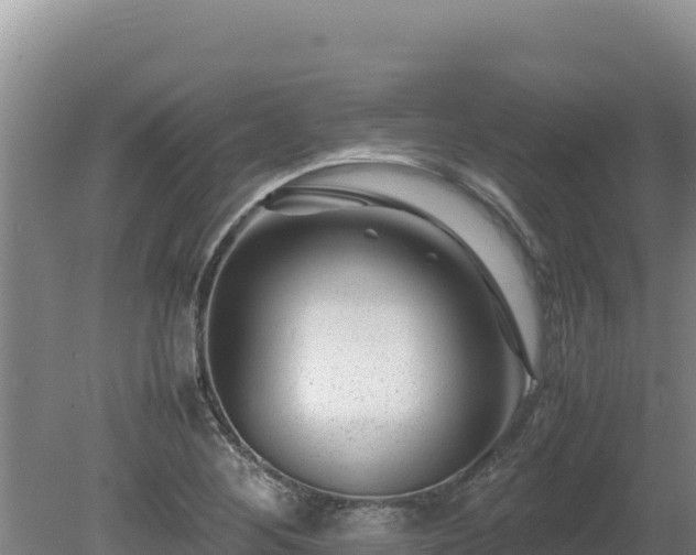 X0000080751268200612221335