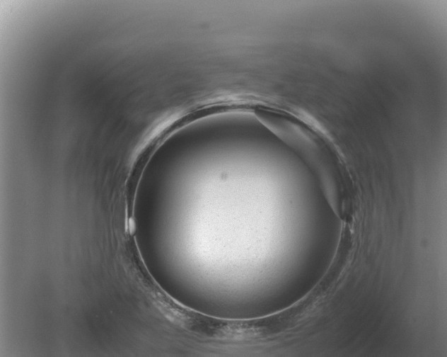 X0000080751269200612221335