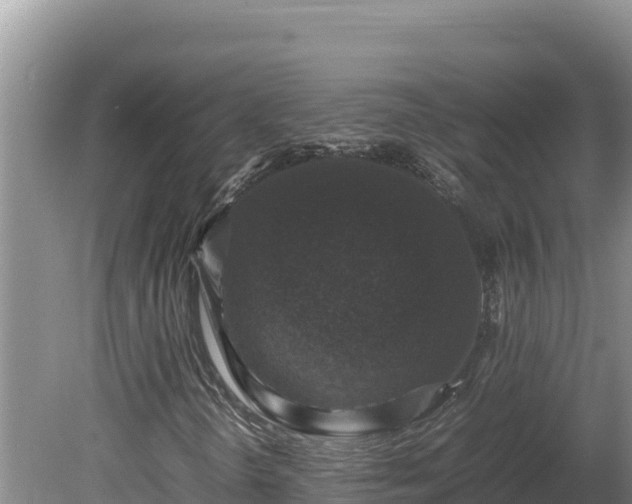 X0000080751298200612221334
