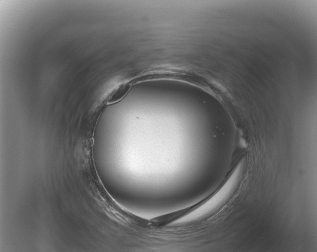 X0000080751355200612221334