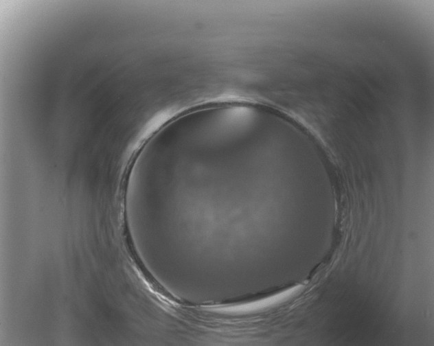 X0000080751367200612221334
