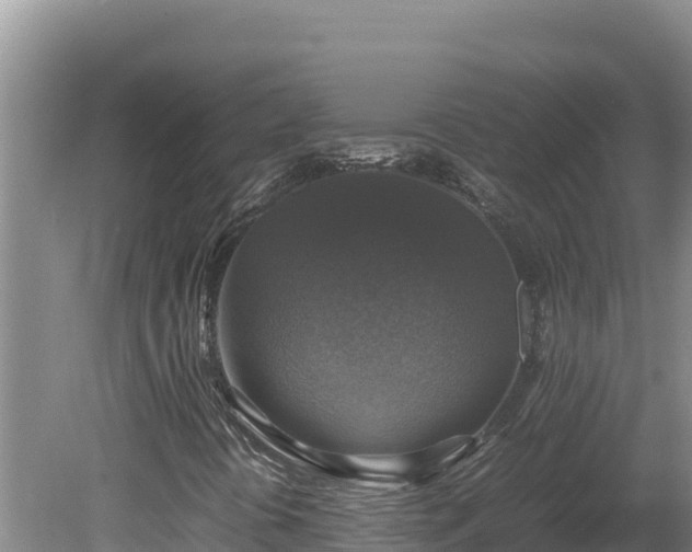 X0000080751394200612221332