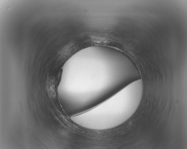 X0000080751396200612221332