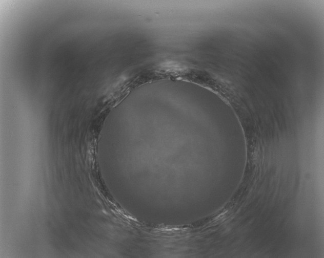 X0000080751397200612221332