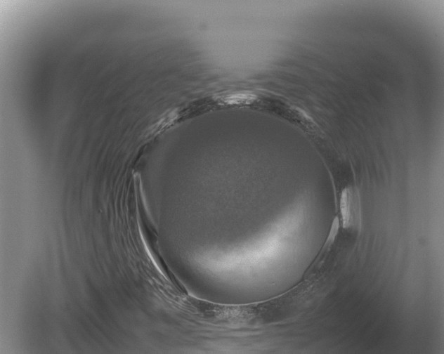 X0000080751443200612221332