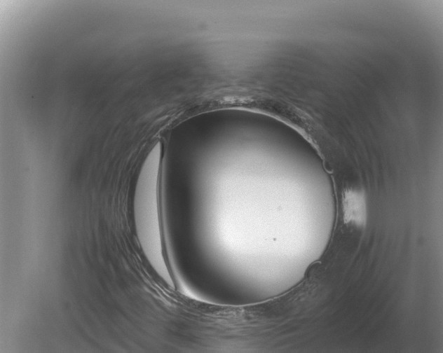 X0000080751444200612221332