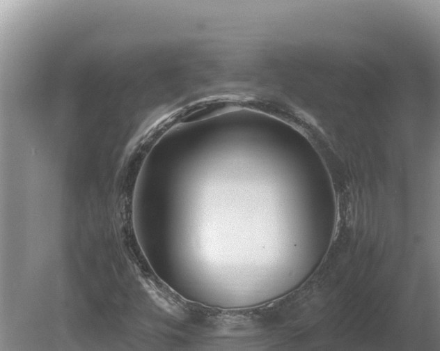 X0000080751448200612221332