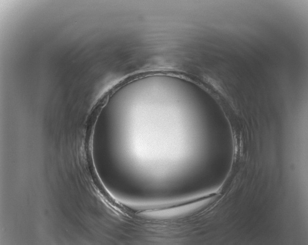 X0000080751452200612221332