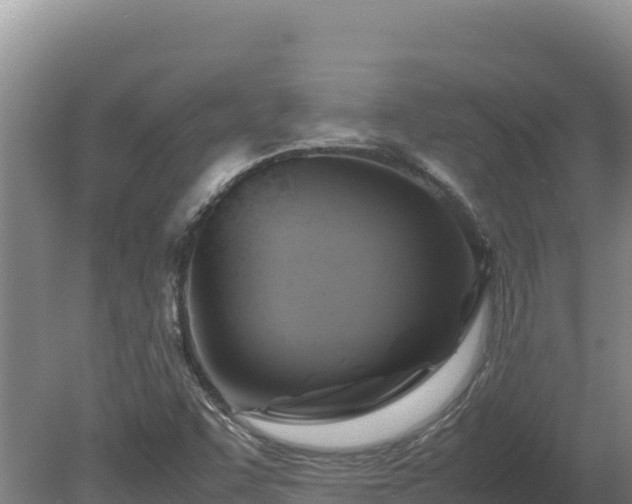 X0000080751455200612221332