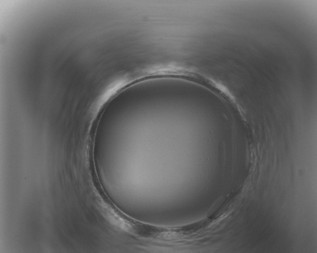 X0000080751463200612221332
