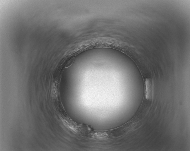 X0000080751491200612221331