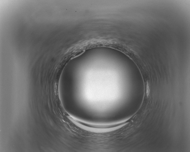 X0000080751492200612221331