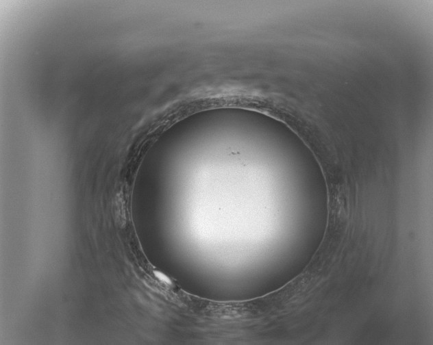 X0000080751493200612221331