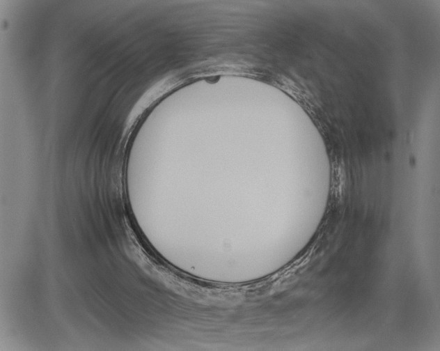 X0000080750004200701021043