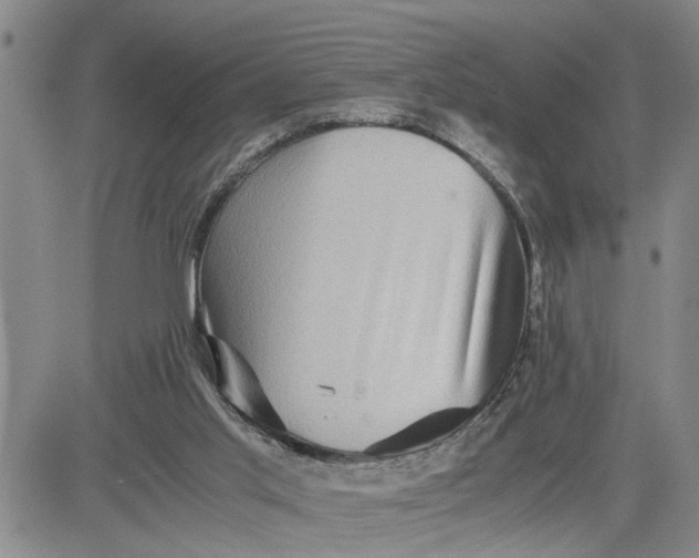 X0000080750013200701021042