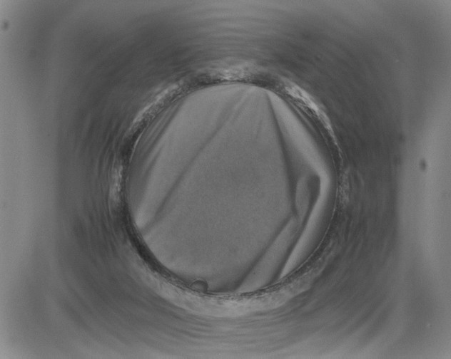 X0000080750018200701021042