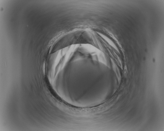 X0000080750019200701021042