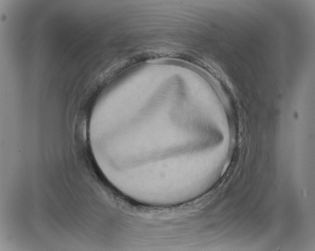 X0000080750021200701021042
