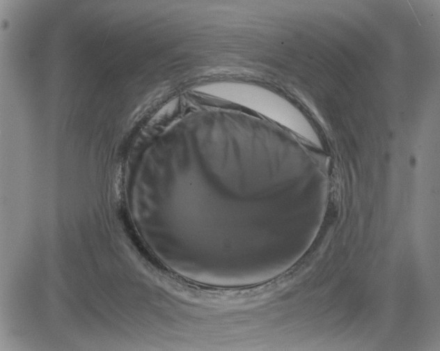 X0000080750023200701021042