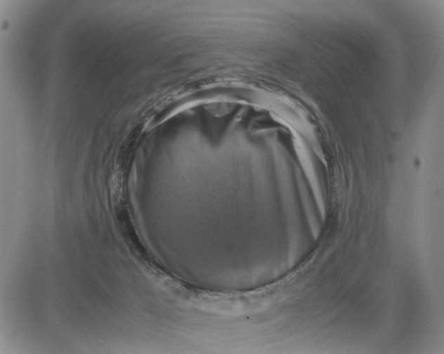 X0000080750029200701021042