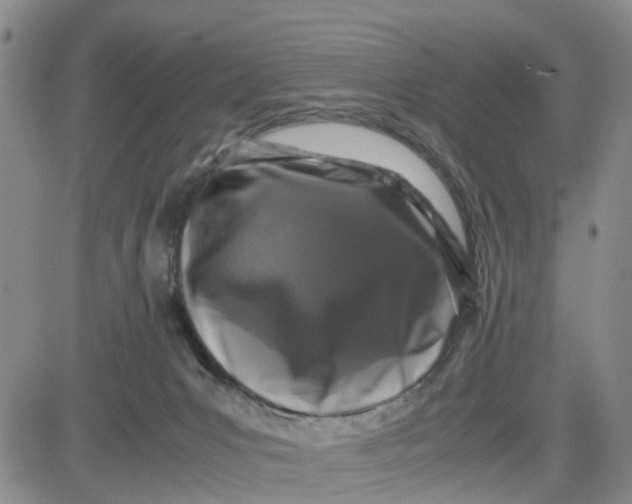X0000080750031200701021042
