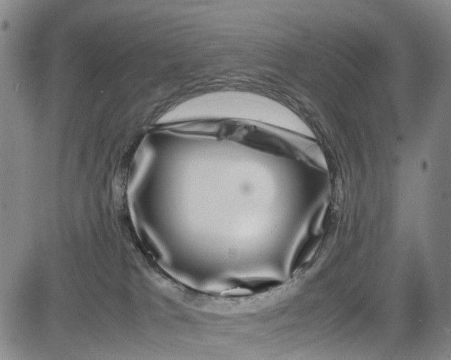 X0000080750037200701021042