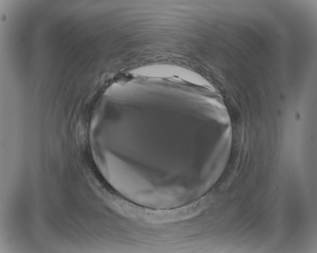 X0000080750039200701021042