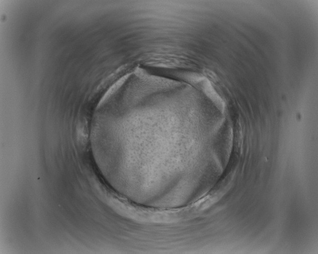 X0000080750040200701021042