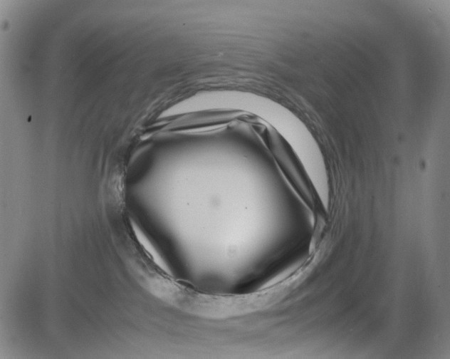 X0000080750045200701021042